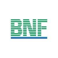 bnf group logo image