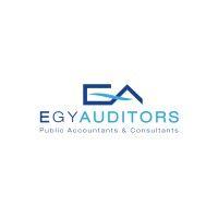 egyauditors logo image