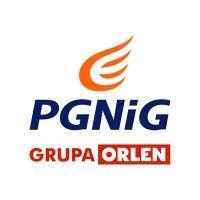 pgnig logo image