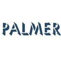 palmer consulting group, llc logo image