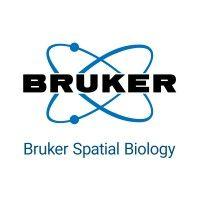 bruker spatial biology logo image