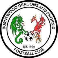 burntwood dragons and phoenix fc logo image