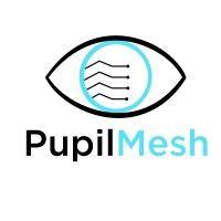 pupilmesh logo image