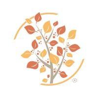 elmwood healthcare logo image