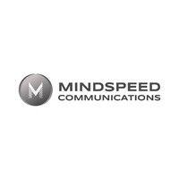 mindspeed communications srl logo image