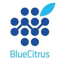 blue citrus software a.ş logo image