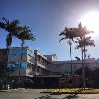 wahiawa general hospital logo image