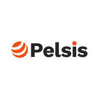 pelsis group logo image