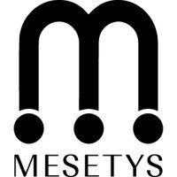 mesetys logo image