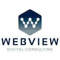 webview digital consulting logo image