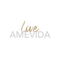 amevida logo image