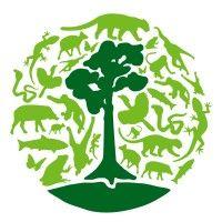 borneo nature foundation international logo image