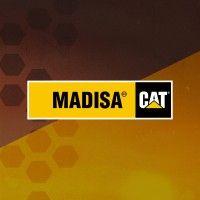 madisa cat logo image