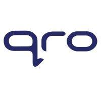 qro solutions limited logo image