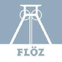 floez logo image