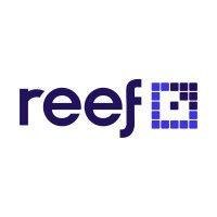 reef digital agency logo image