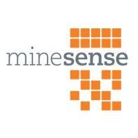 minesense technologies ltd. logo image