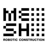 mesh logo image