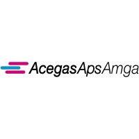 acegasapsamga logo image