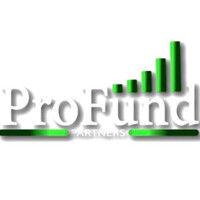 profund partners logo image