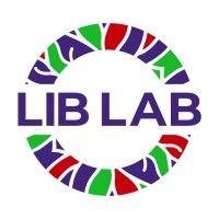 the lib lab consulting logo image