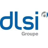 groupe dlsi logo image