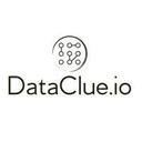 logo of Dataclue Io