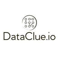 dataclue.io