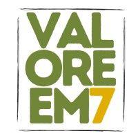 valoremseven limited logo image