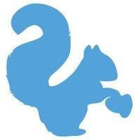 squirrel business solutions logo image