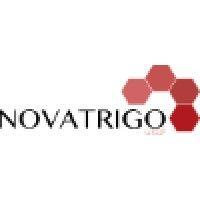 novatrigo group logo image