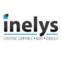 inelys logo image