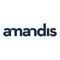 amandis - ict recruitment professionals logo image