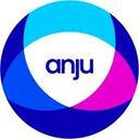 logo of Anju Software