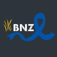 bnz advogados logo image