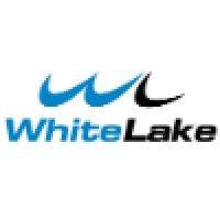 whitelake technology solution logo image