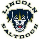 logo of Lincoln Pro Baseball Saltdogs