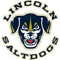 lincoln pro baseball - saltdogs logo image