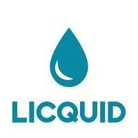 licquid logo image