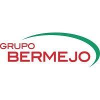 grupo bermejo logo image