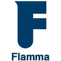 flamma group logo image