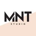 logo of Mntstudio