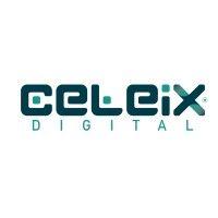 celeix digital llc