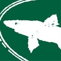 dogfish head logo image