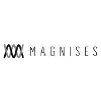 magnises logo image