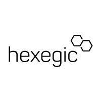 hexegic logo image