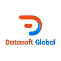 datasoft global llc logo image