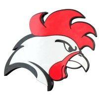 helsinki roosters logo image