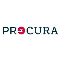 procura real estate services logo image