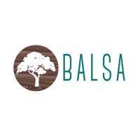 the balsa group logo image